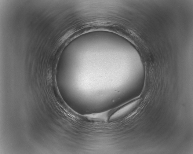X0000052561065200507221430