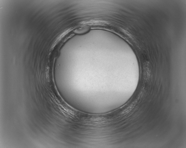 X0000052561066200507221430