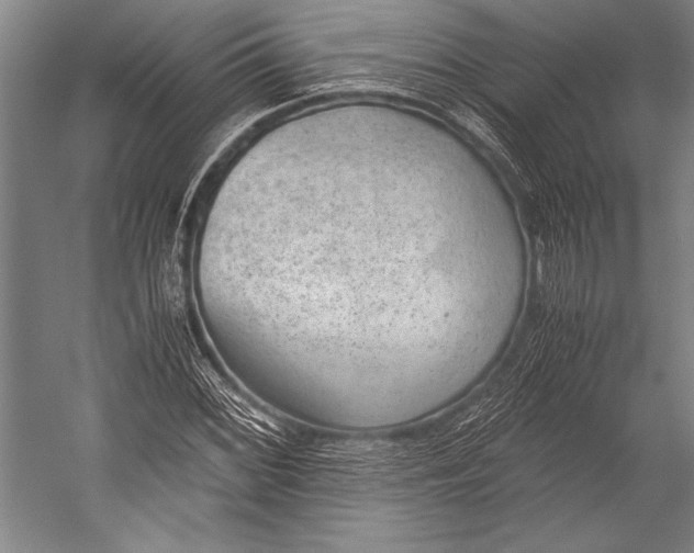 X0000052561068200507221430