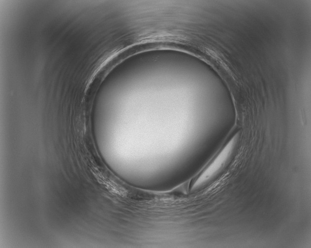 X0000052561069200507221430