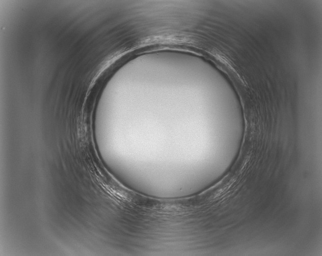 X0000052561070200507221430