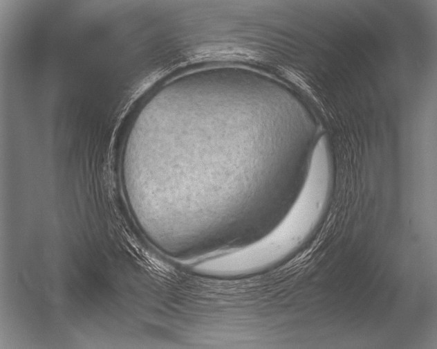 X0000052561071200507221430
