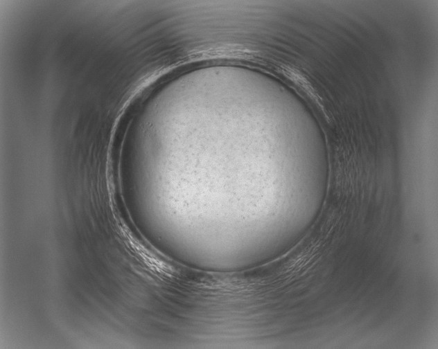 X0000052561072200507221430