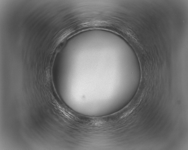 X0000052561073200507221430