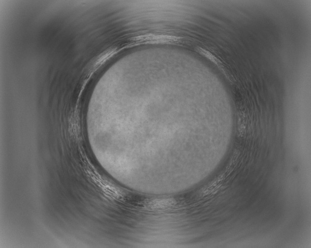 X0000052561074200507221430