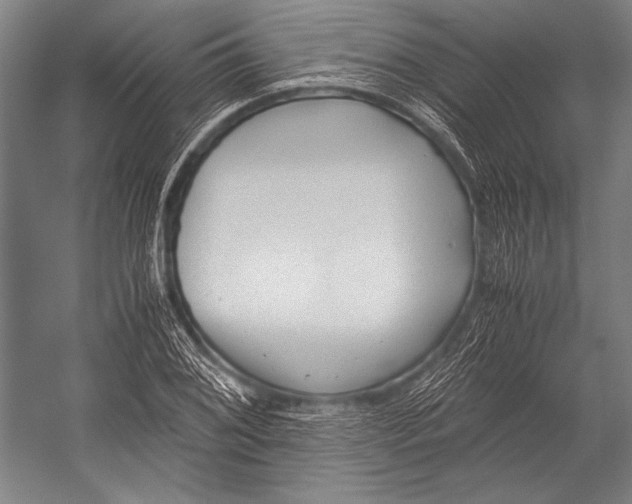 X0000052561076200507221429