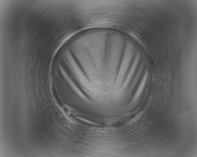 X0000052561077200507221429