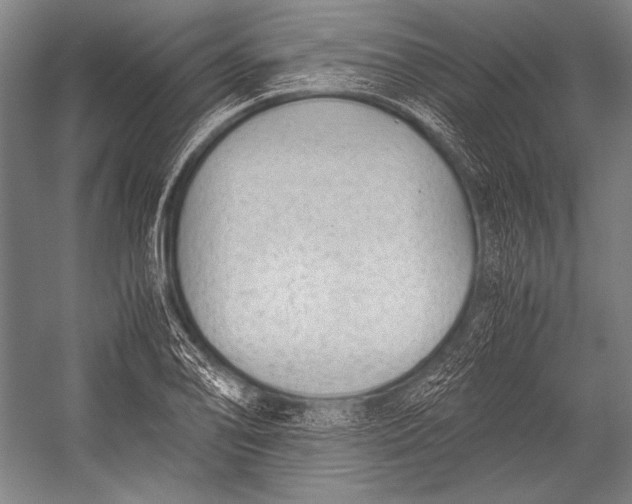 X0000052561078200507221429