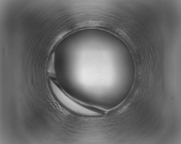 X0000052561081200507221429
