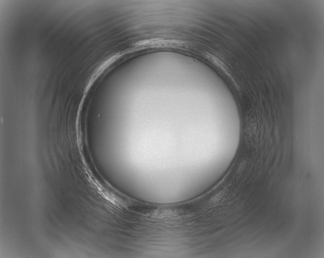 X0000052561082200507221429