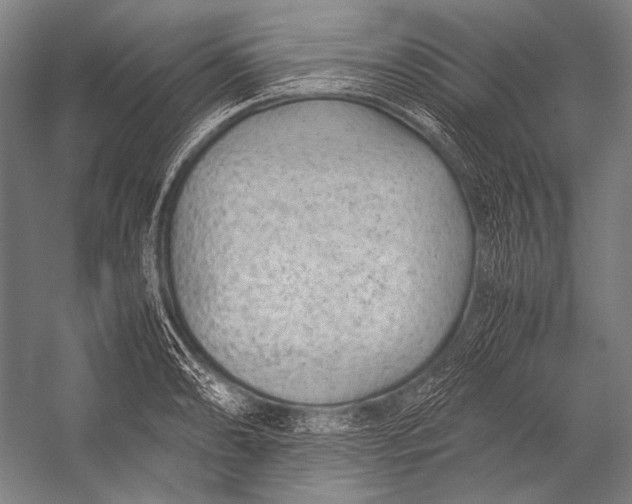 X0000052561086200507221429