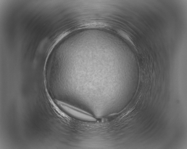 X0000052561087200507221429