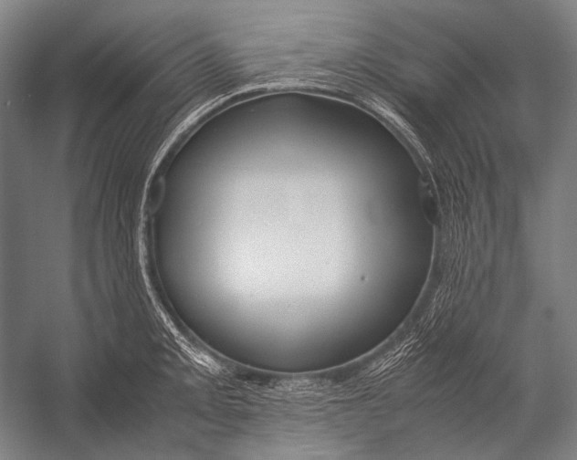 X0000052561093200507221429