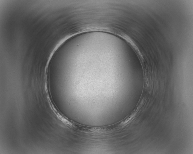 X0000052561102200507221429