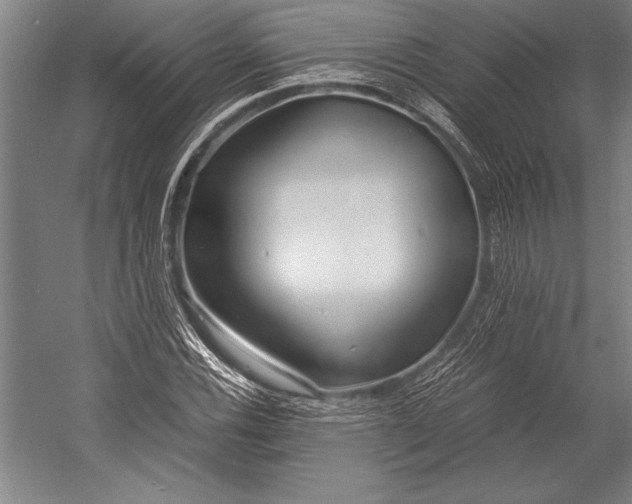 X0000052561116200507221428