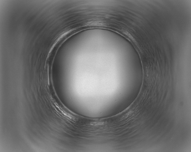 X0000052561123200507221429