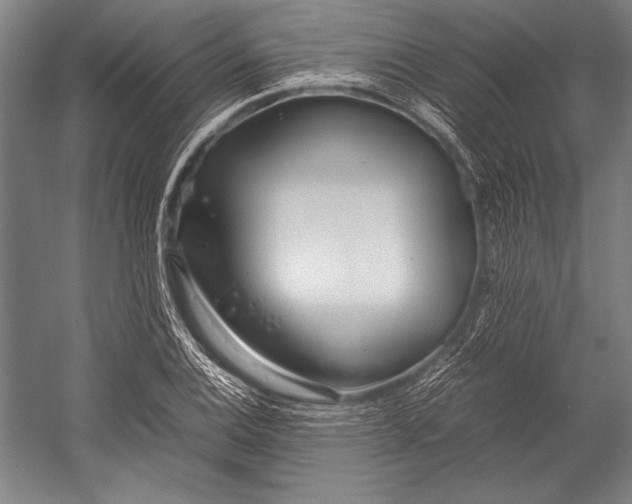 X0000052561124200507221429