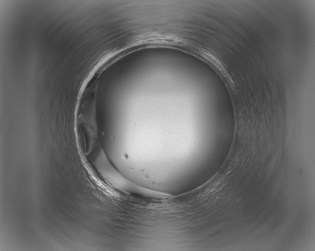 X0000052561128200507221429