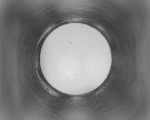 X0000052561130200507221429