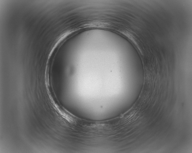 X0000052561131200507221429