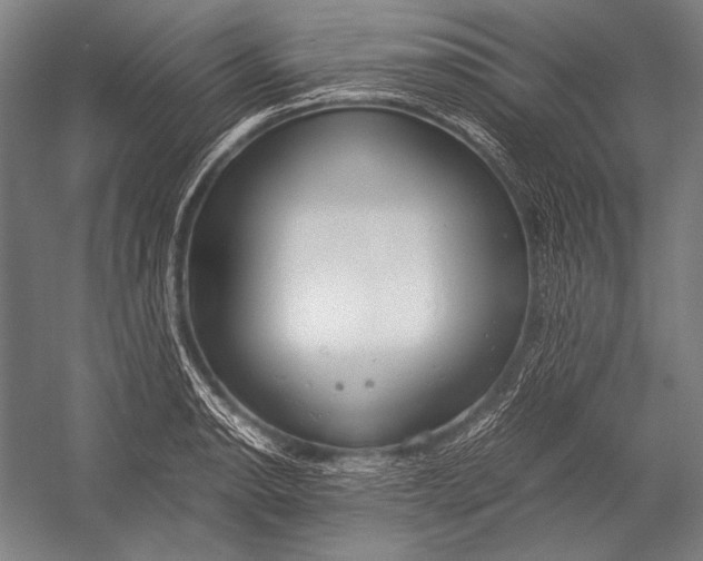 X0000052561134200507221429