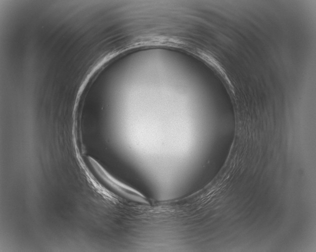 X0000052561136200507221429