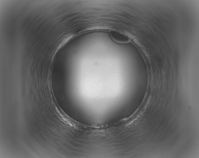 X0000052561137200507221429