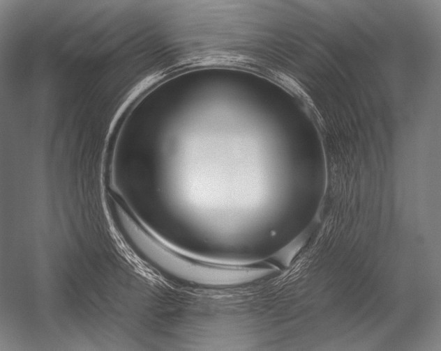 X0000052561138200507221429