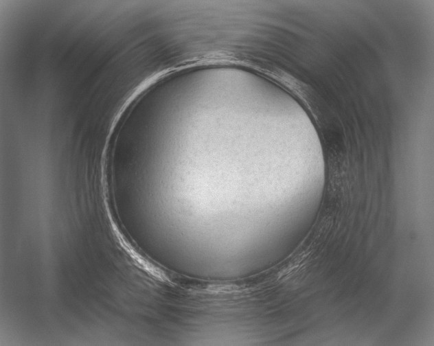 X0000052561142200507221429