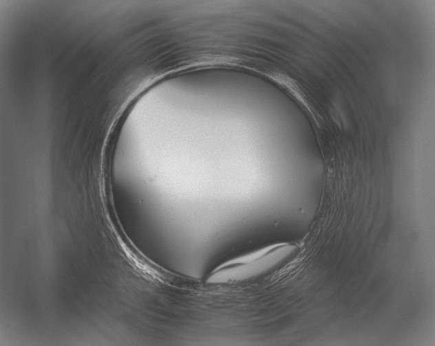 X0000052561143200507221429