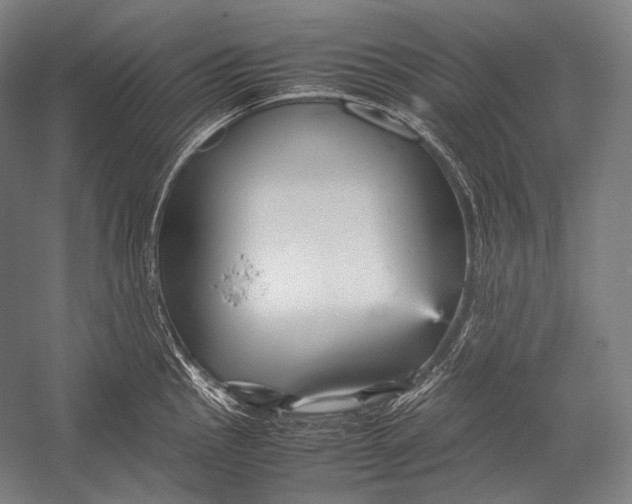 X0000052561145200507221429