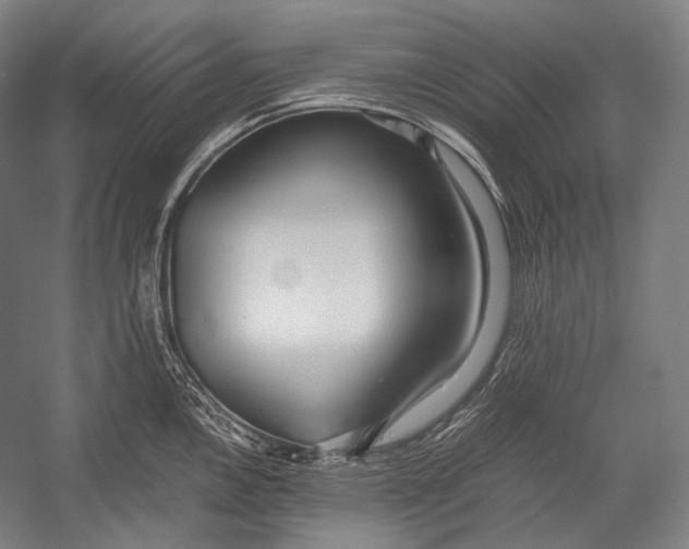 X0000052561146200507221429
