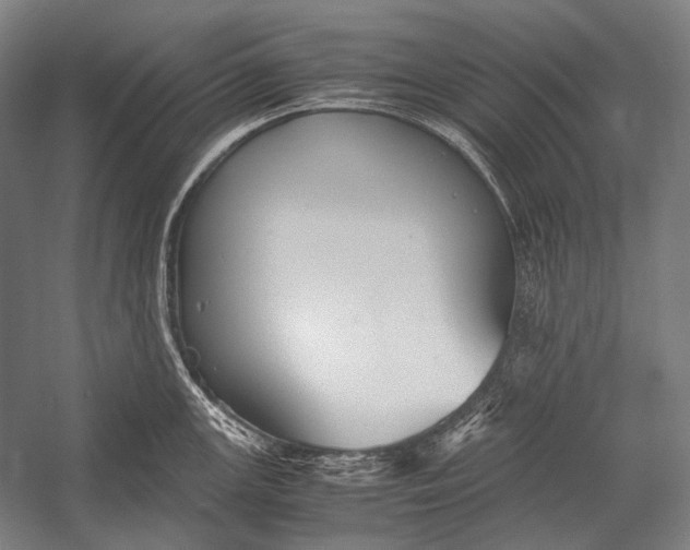 X0000052561147200507221429