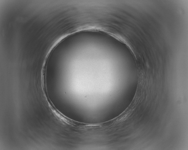 X0000052561151200507221429