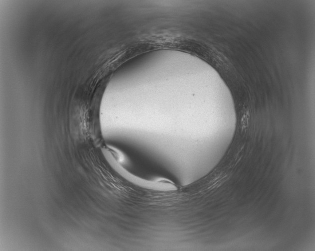 X0000052561156200507221428