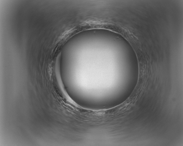 X0000052561157200507221428