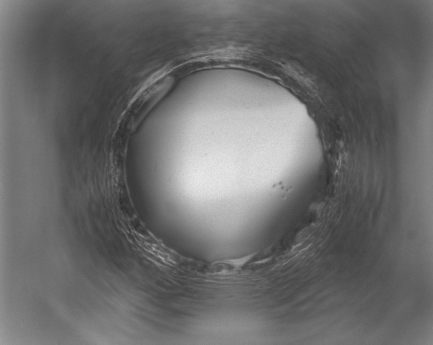 X0000052561160200507221428