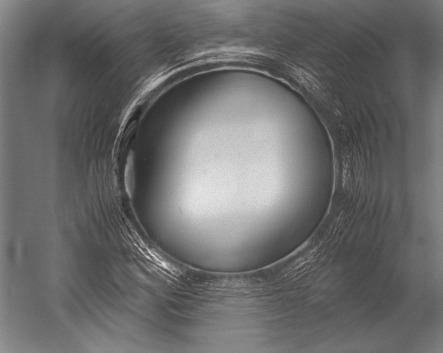 X0000052561164200507221428