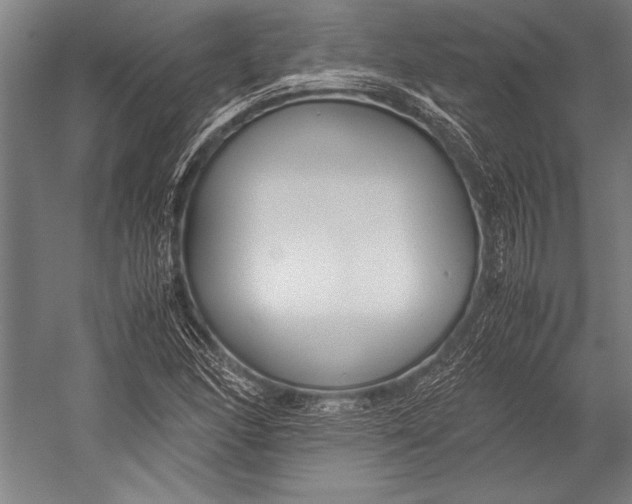 X0000052561166200507221428