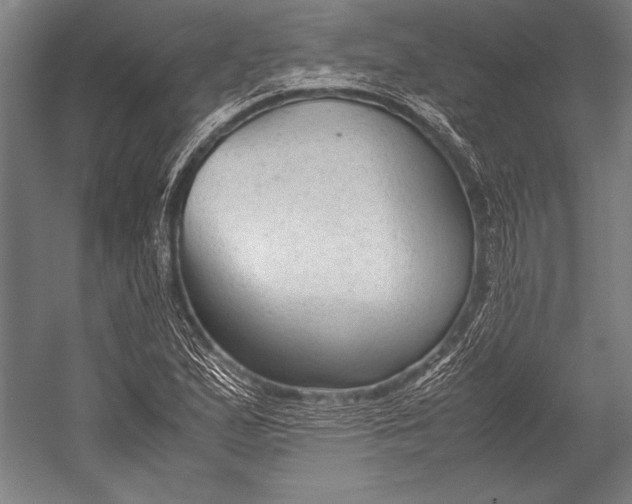 X0000052561167200507221428
