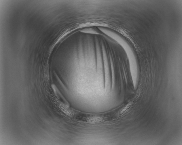 X0000052561173200507221428