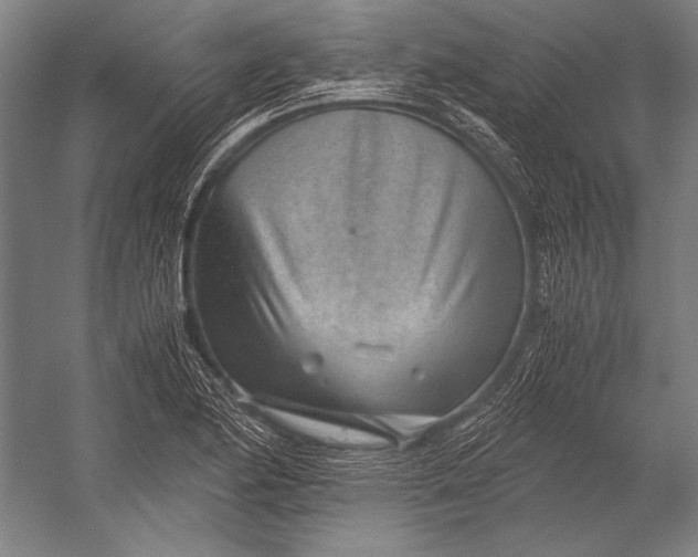 X0000052561174200507221428