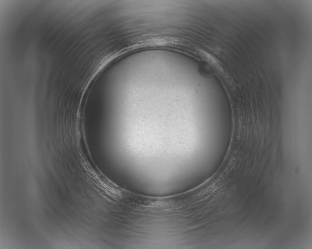 X0000052561178200507221428