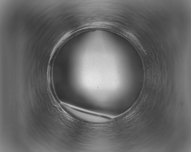X0000052561180200507221428