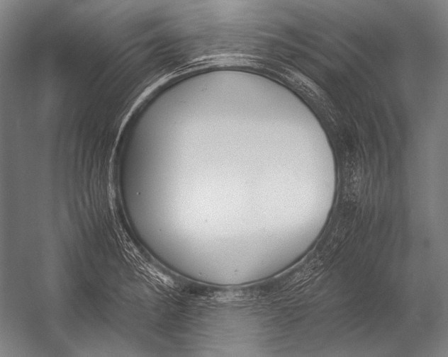 X0000052561182200507221428