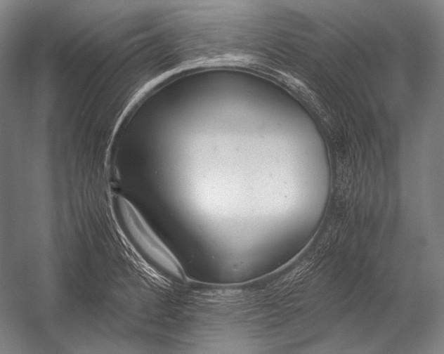 X0000052561184200507221428