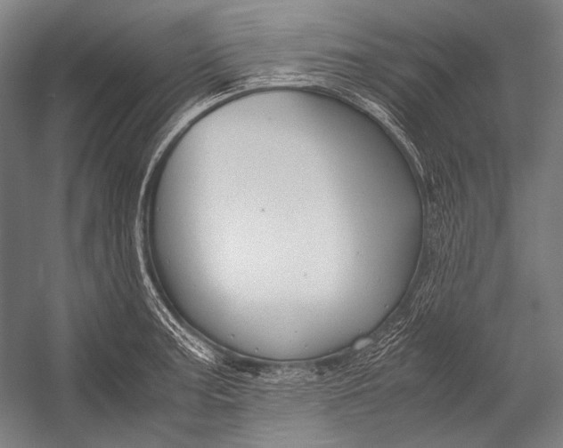 X0000052561187200507221428