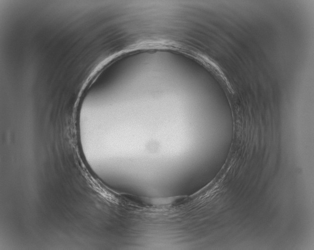 X0000052561192200507221428