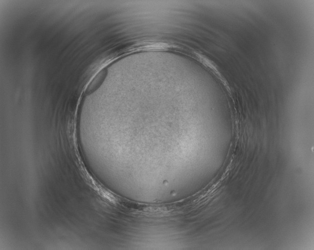 X0000052561194200507221427