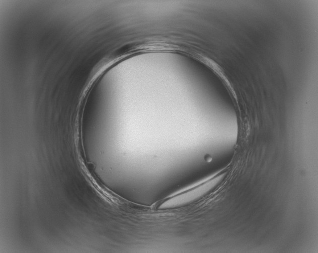 X0000052561195200507221427